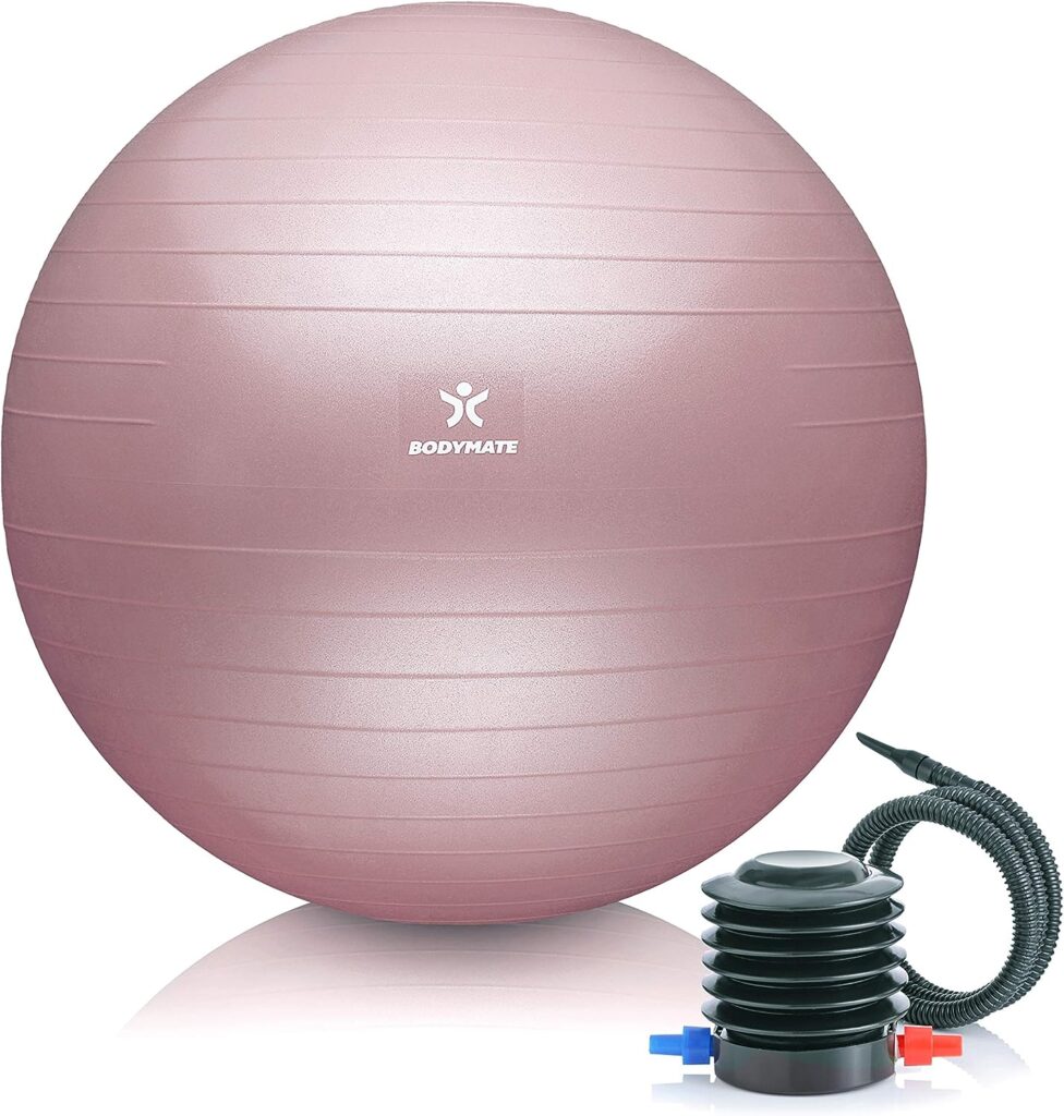 Bodymate Exercise ball sitting ball training ball with free e-book including Air Pump Ball Fitness Yoga Gymnastics Core Training Strong Back Office Chair